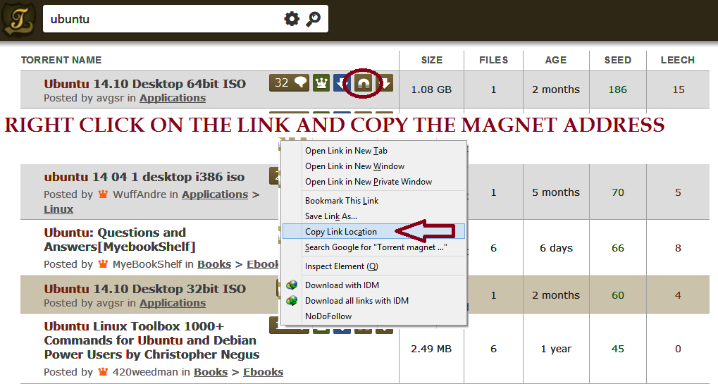 how to magnet links with idm